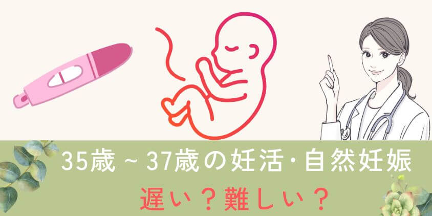 35歳~37歳の妊活は遅い?自然妊娠は難しい?