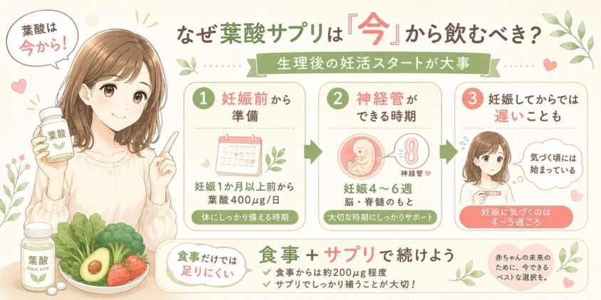 なぜ葉酸サプリは「生理後の今」から飲むべきなのか