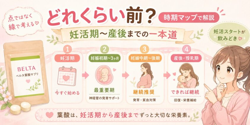 「どれくらい前?」を時期マップで解説｜妊活期〜産後までの一本道