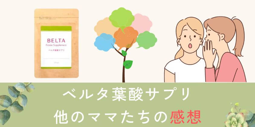 ベルタ葉酸サプリを飲んだ他のママたちの感想も紹介