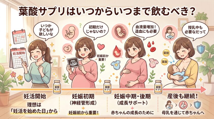 葉酸サプリはいつからいつまで飲むべき？