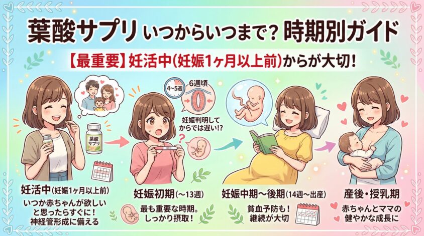 葉酸サプリはいつからいつまで飲む？妊活〜産後の時期別ガイド