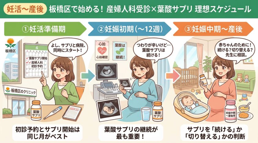 板橋区の産婦人科受診×葉酸サプリ 妊活から産後までの理想スケジュー