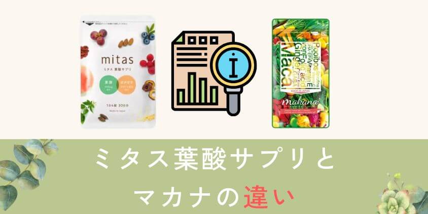 mitas(ミタス)とマカナを比較して違いを解説