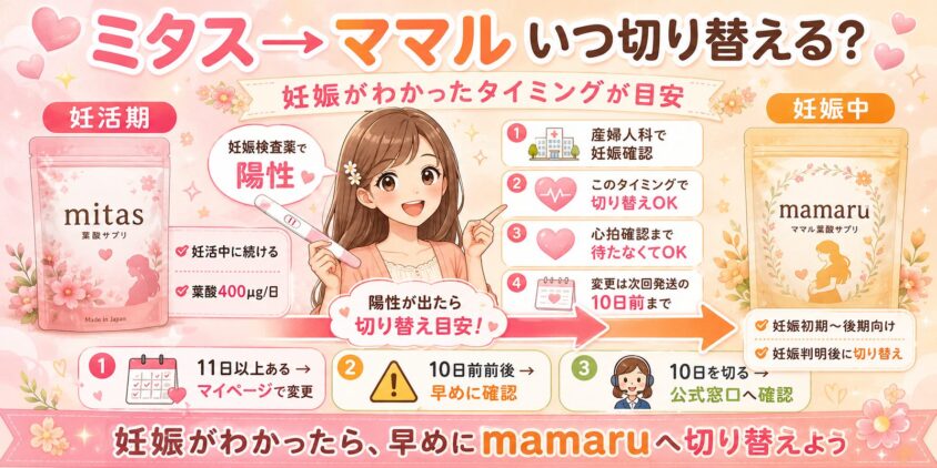 ミタスからママルへの切り替え時期は妊娠がわかったタイミング