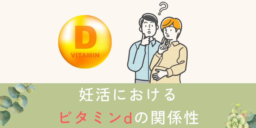 妊活におけるビタミンdの関係性について