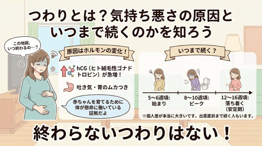 つわりとは?気持ち悪さの原因と「いつまで続くのか」を知ろう