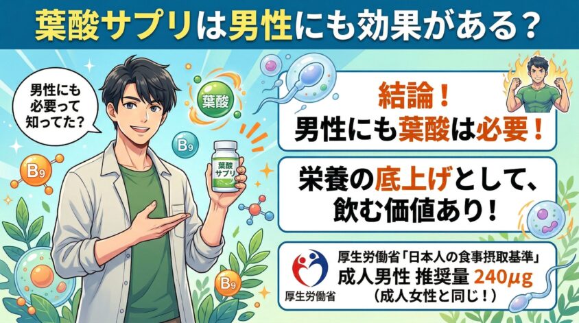 葉酸サプリは男性にも効果がある？結論から言うと「飲んで損はない」