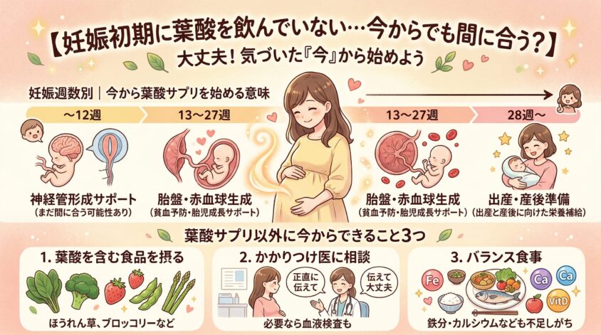妊娠初期に葉酸を飲まなかった場合、今からでも間に合う？